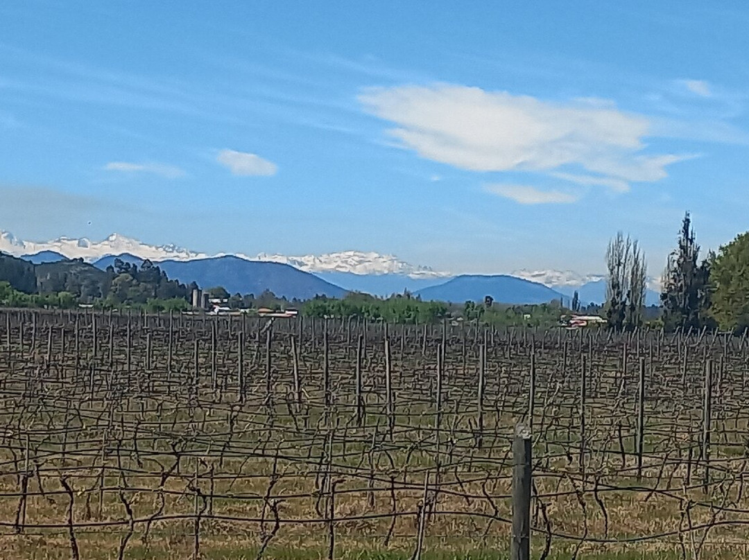 Hostal Colchagua主图