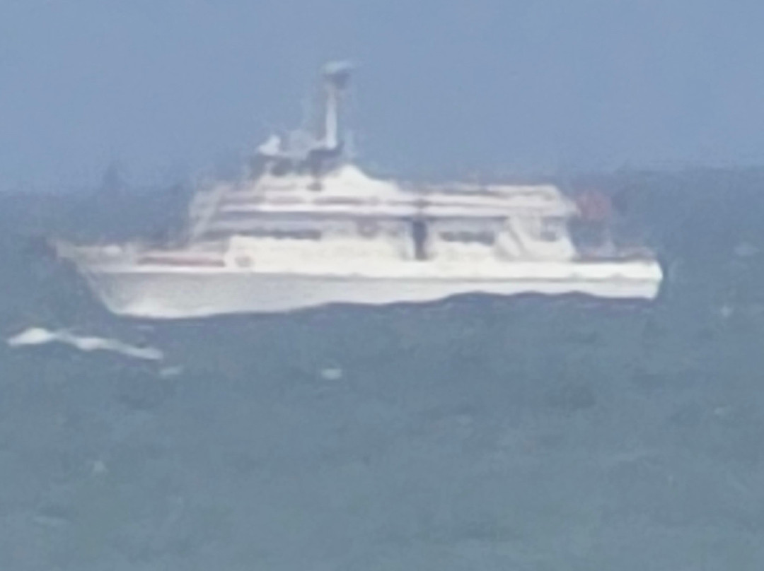 Driftwood Motel主图