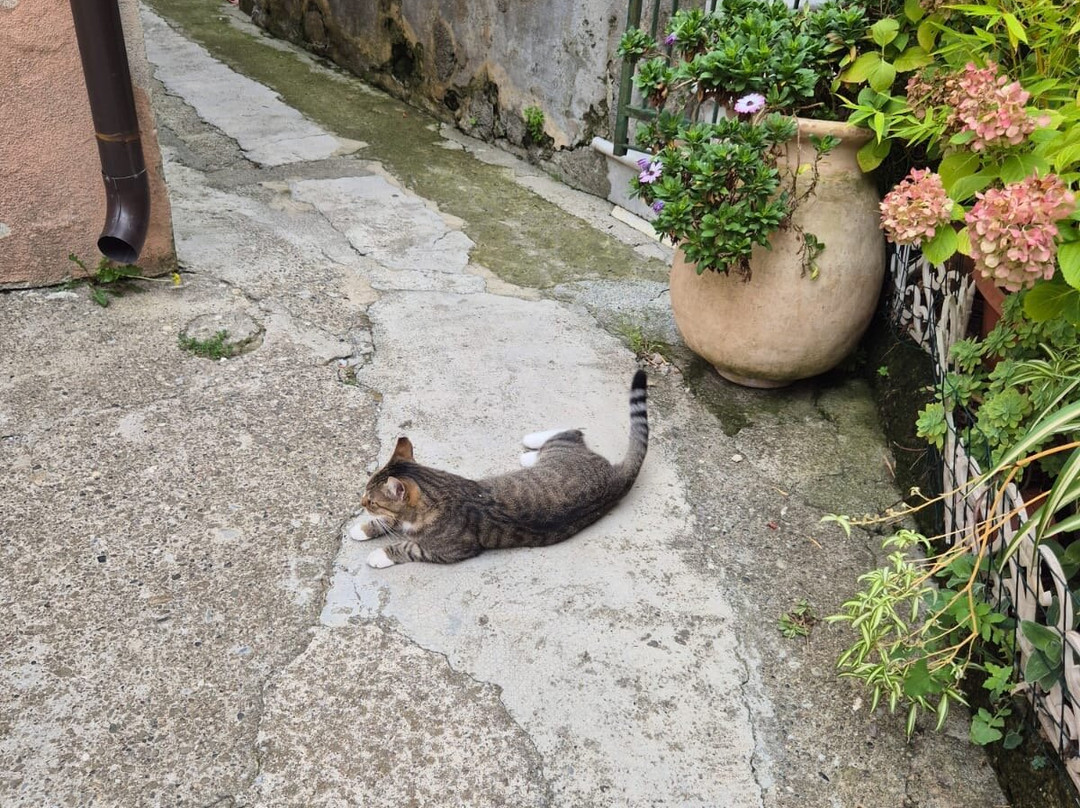 Borgo Di Montemarcello-Montemarcello必去景点