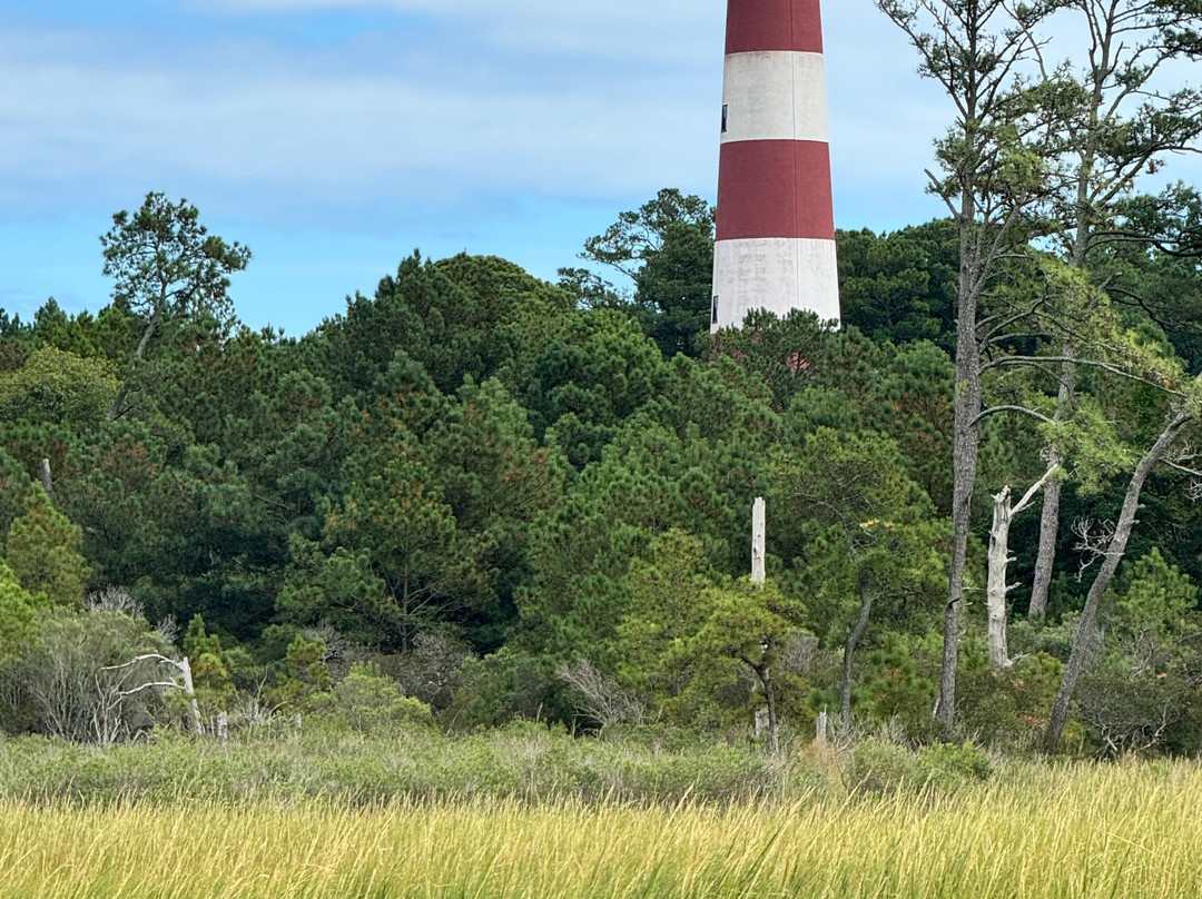 Cowboy Cruise Company-Chincoteague必去景点