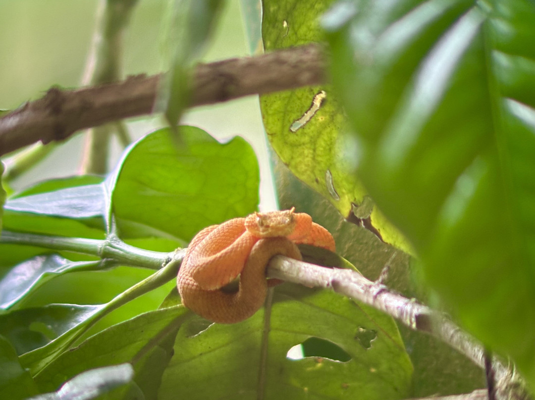 Conchal Adventures Costa Rica-孔查沙滩必去景点