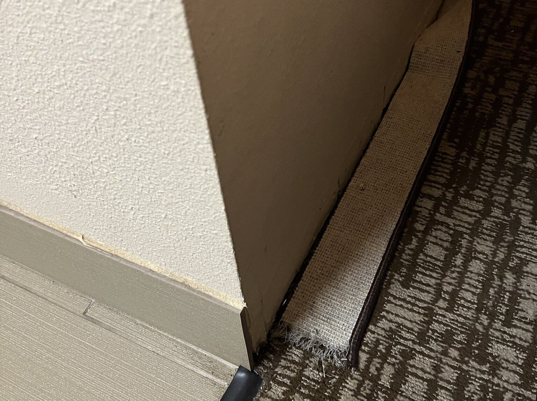 Comfort Inn Paducah I-24主图