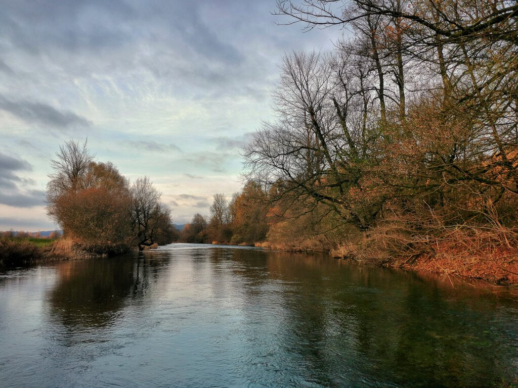 Fly Fishing Alpe Adria
