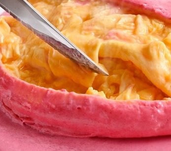 Tamago no Kimochi Musashi Kosugi