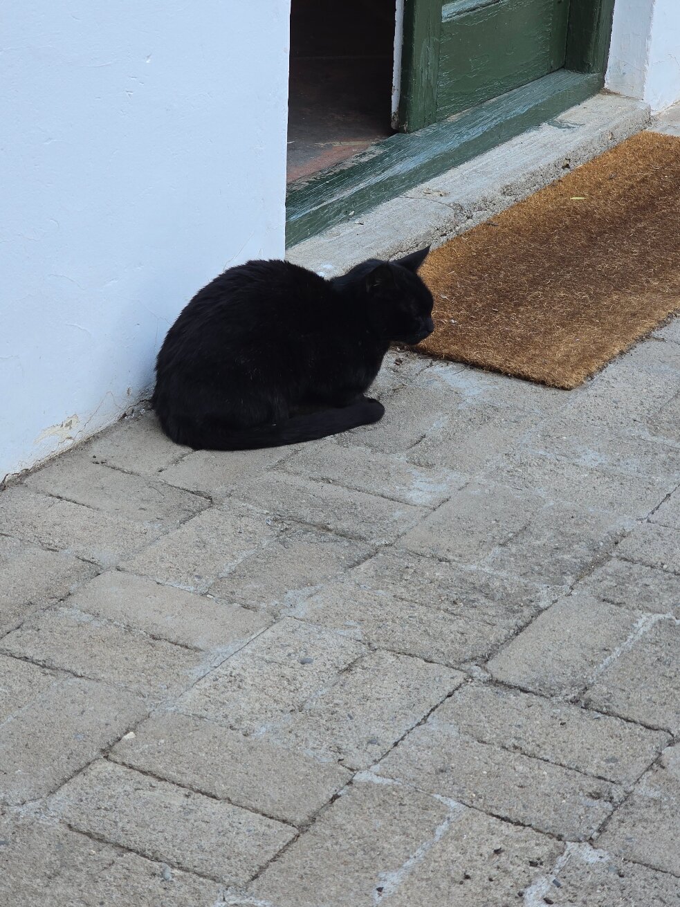 Onse Rus Guest House-官方