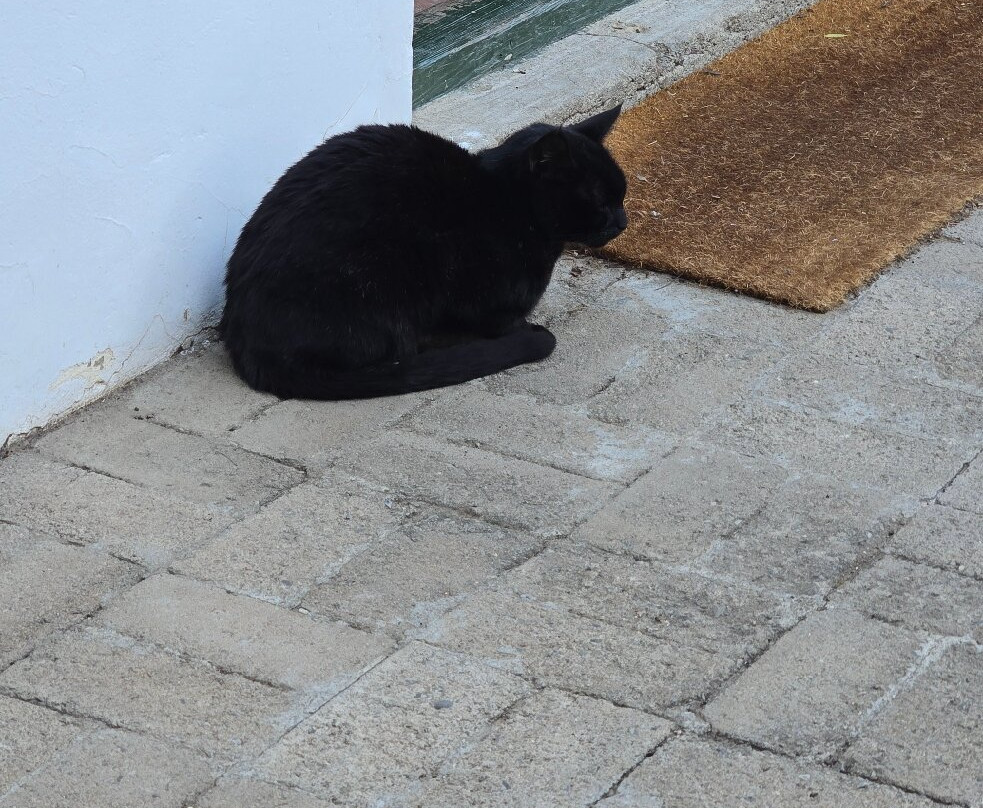 Onse Rus Guest House主图