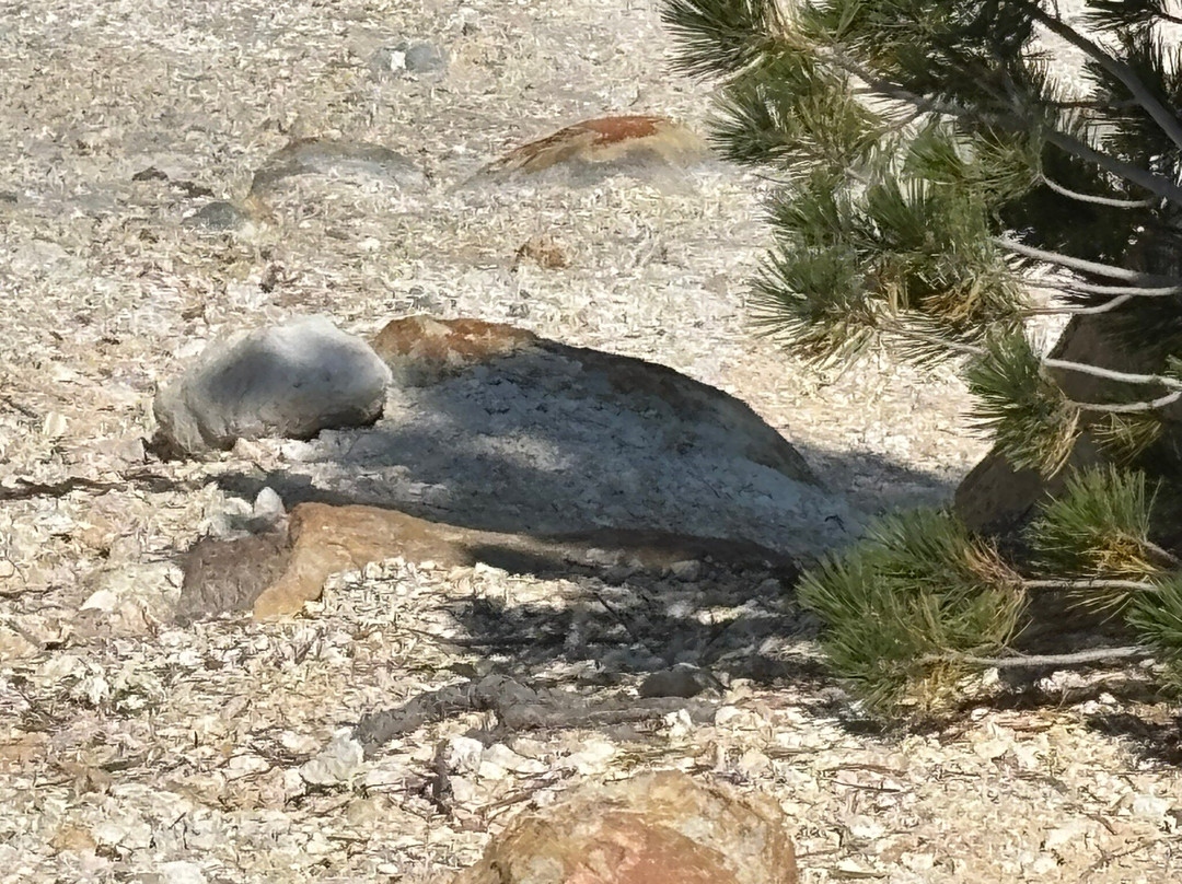 Lassen Volcanic National Park-Mineral必去景点