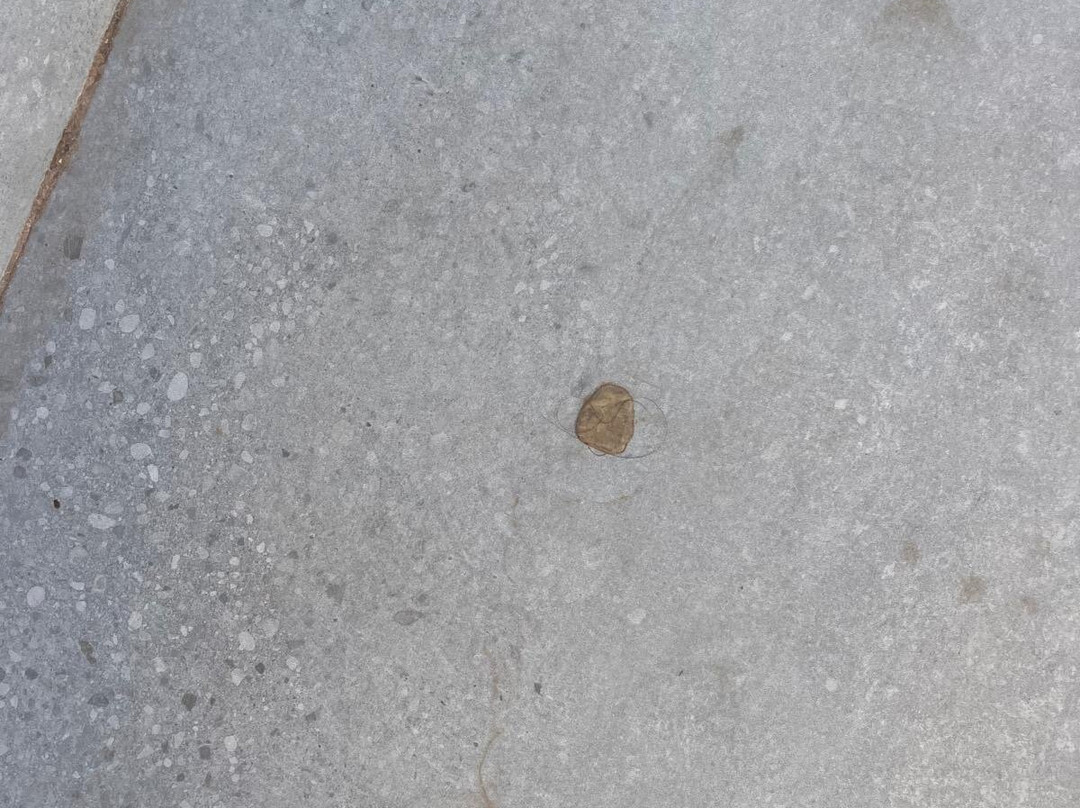 Gran Hotel Alameda主图