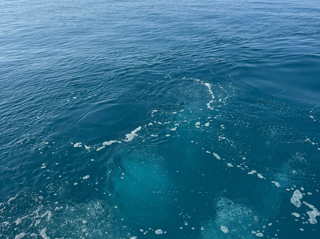 The Aquatic Centre-利马索尔必去景点