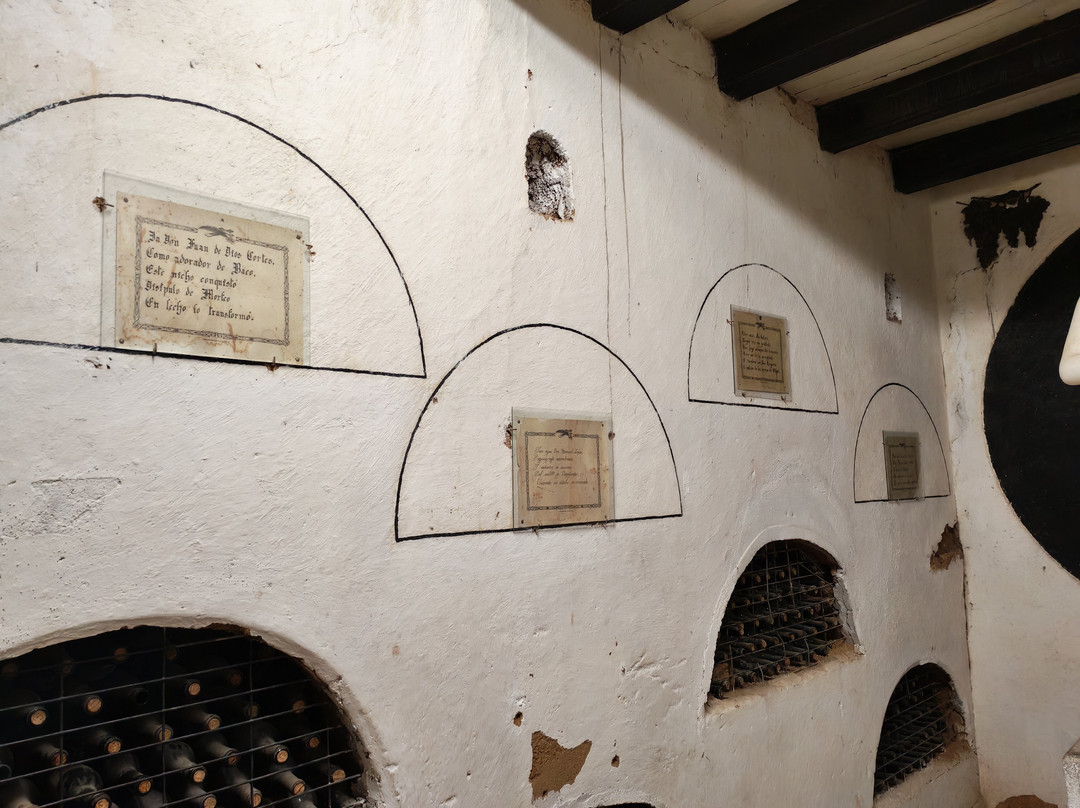 Fundo Los Nichos-Pisco Elqui必去景点