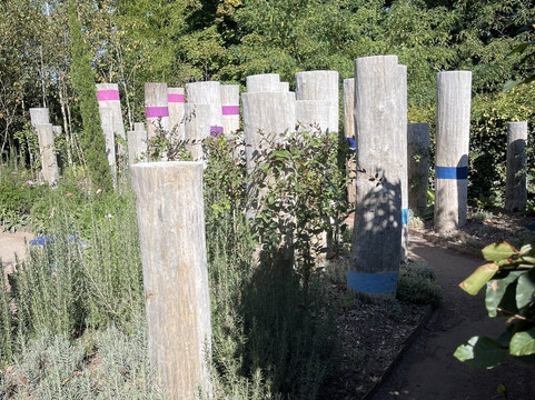 Domaine de Chaumont-sur-Loire-Chaumont-sur-Loire必去景点