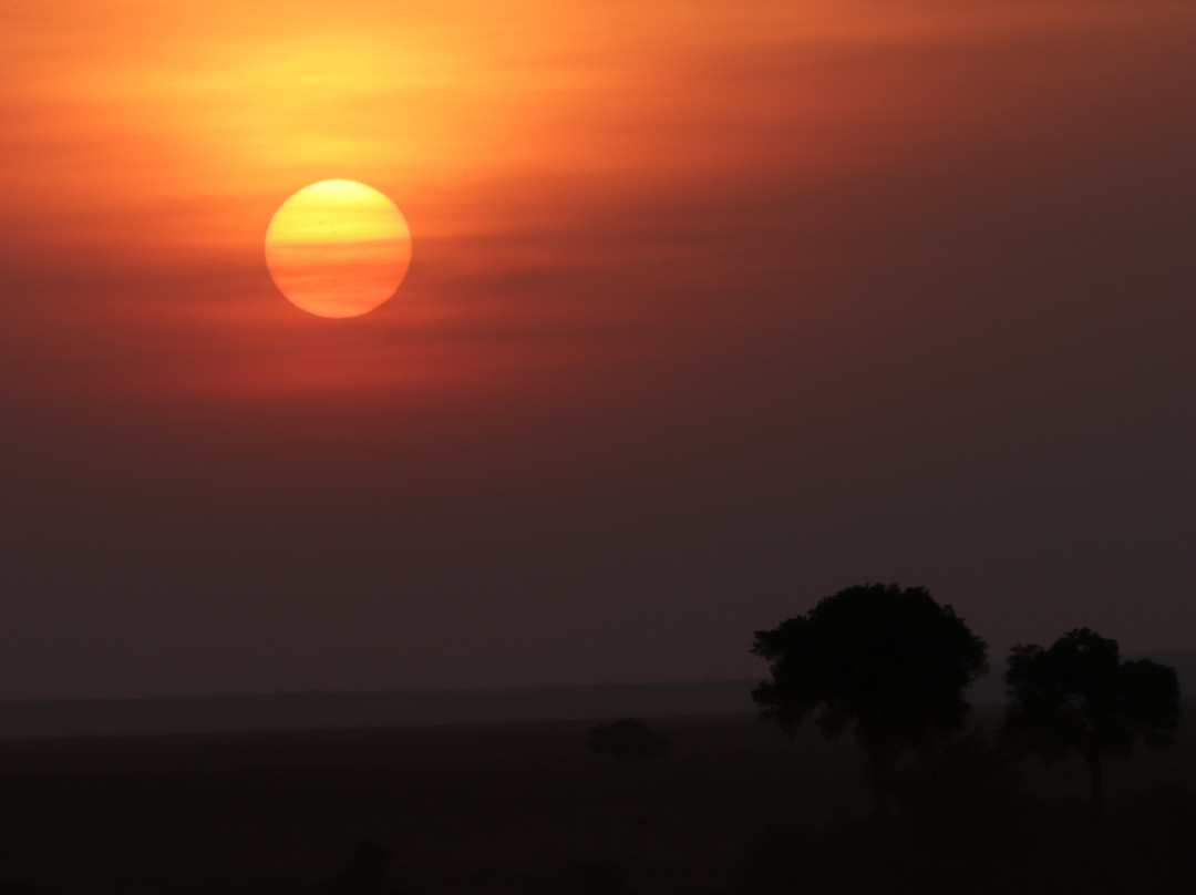 Wildtrek Tanzania Safaris-阿鲁沙必去景点