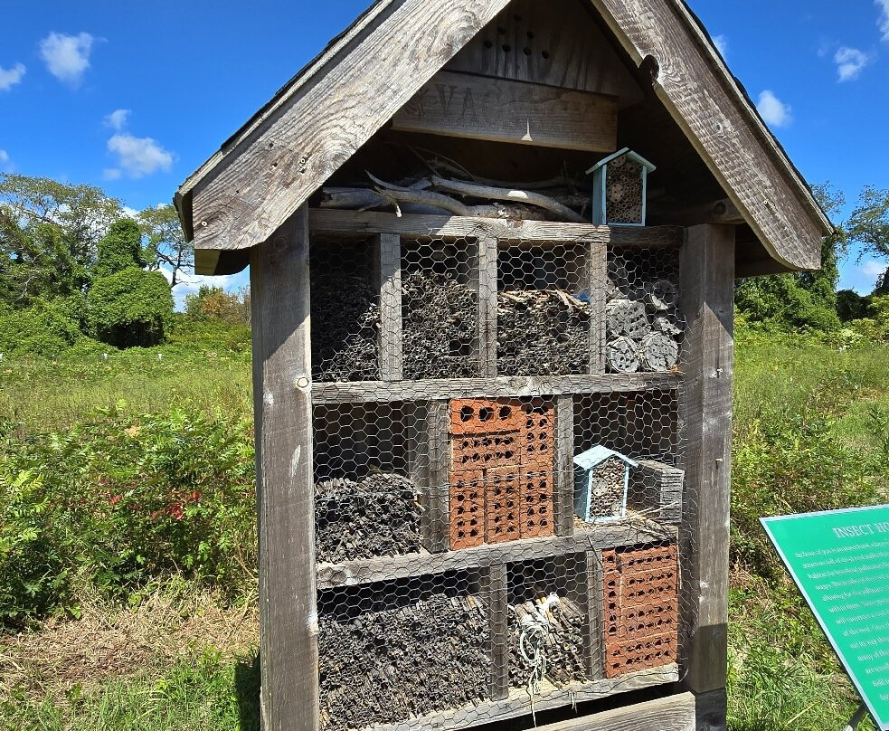 Garrett Family Preserve-开普梅必去景点