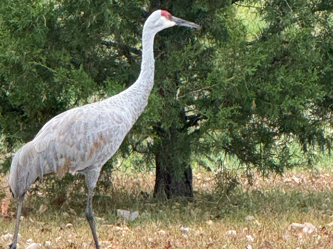 Sand Dunes State Forest-Zimmerman必去景点