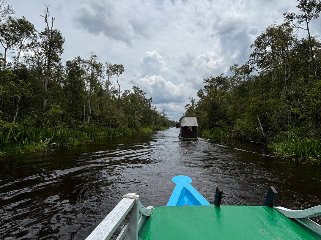 Local Guides - Tanjung Puting-Pangkalan Bun必去景点