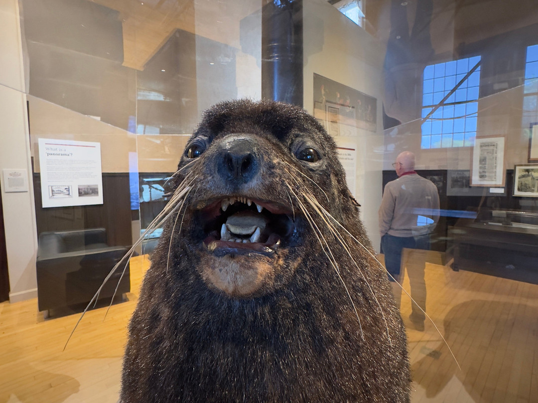 New Bedford Whaling Museum-新贝德福德必去景点
