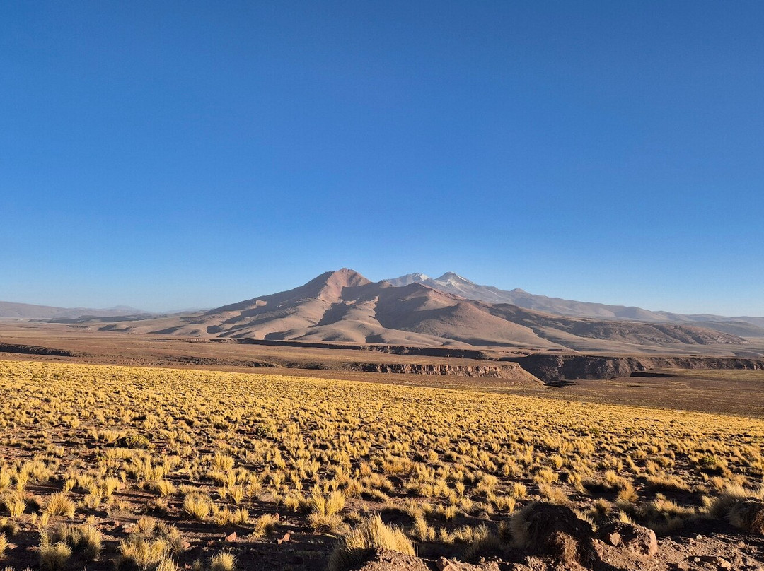 La Torre Tours-Tupiza必去景点