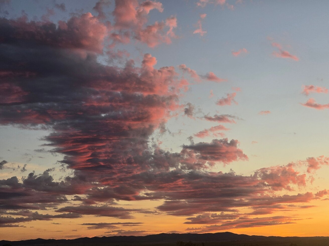 Los Milics Vineyards-Elgin必去景点