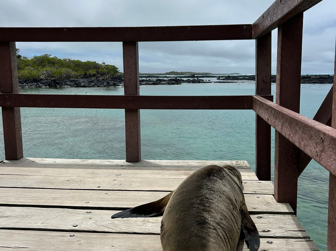 Concha de Perla-维里亚米尔港必去景点