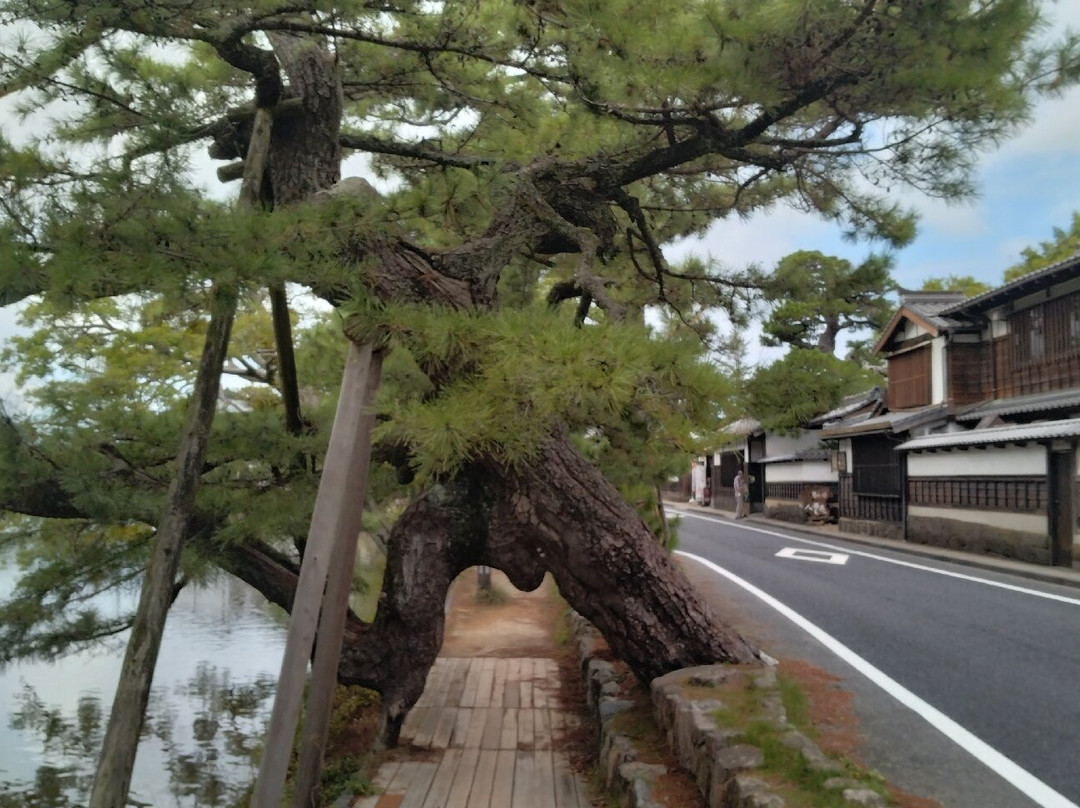Shiomi Nawate Street-松江市必去景点