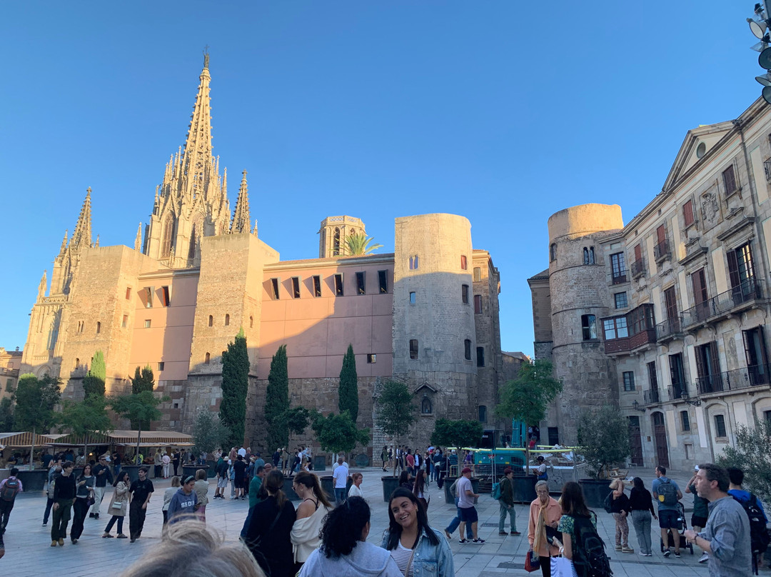 Thrills Day Tours by 3els-巴塞罗那必去景点