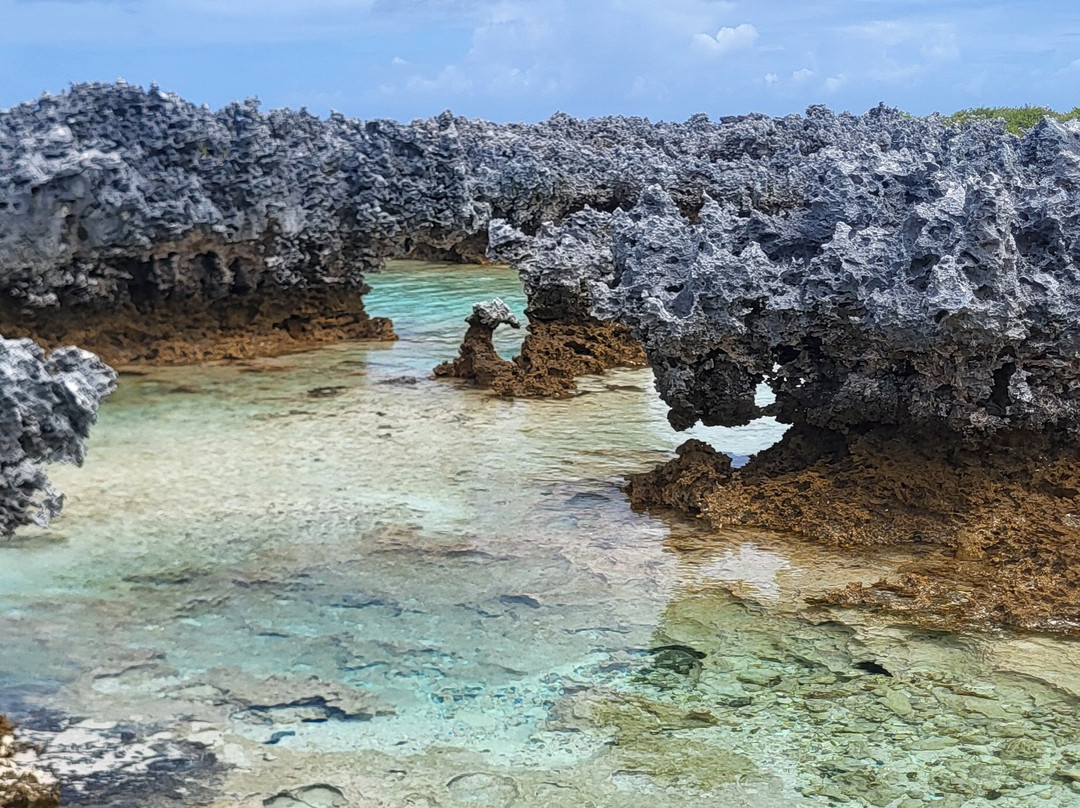 Va'a i te Moana主图