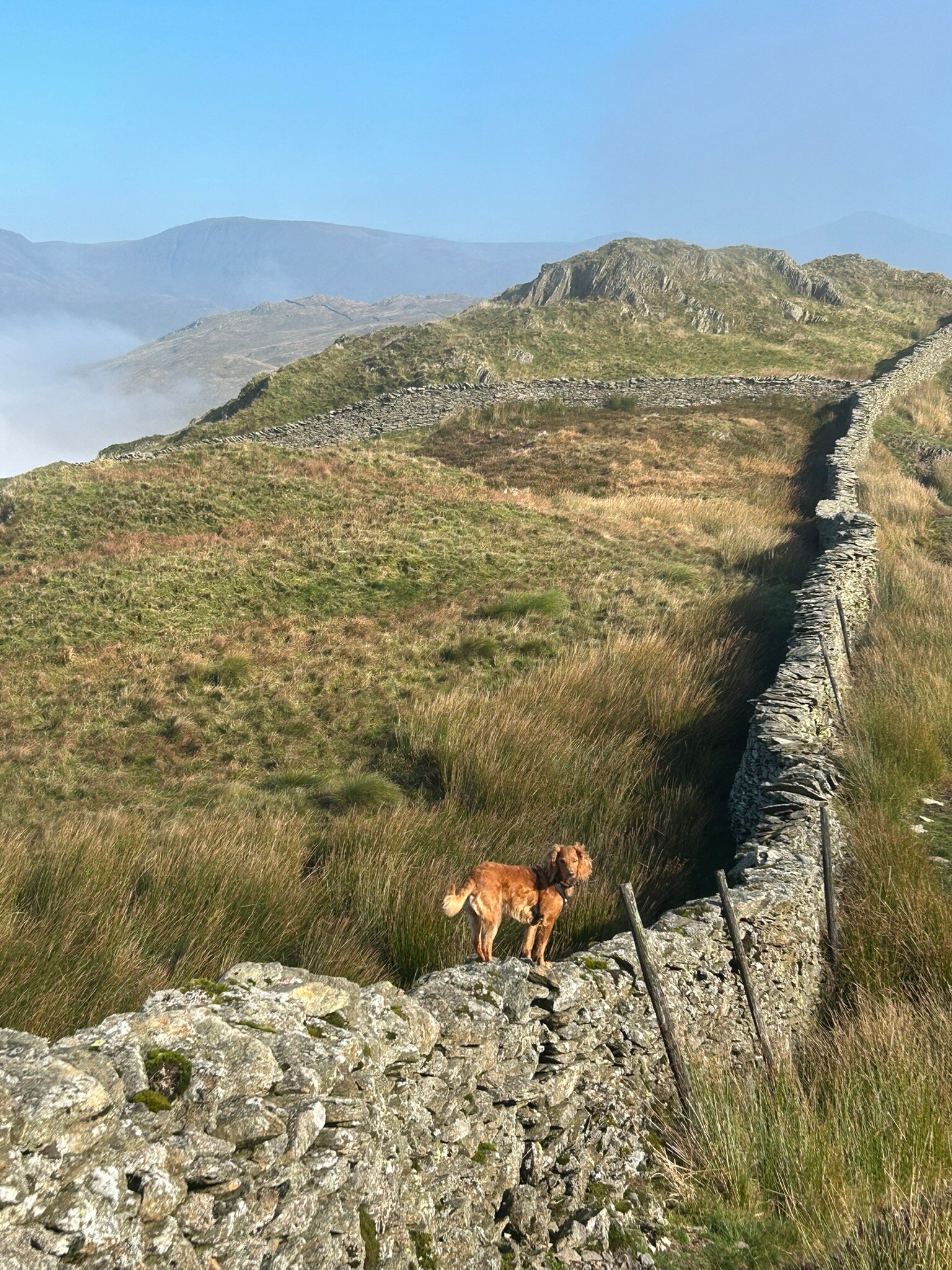 The Mortal Man-官方