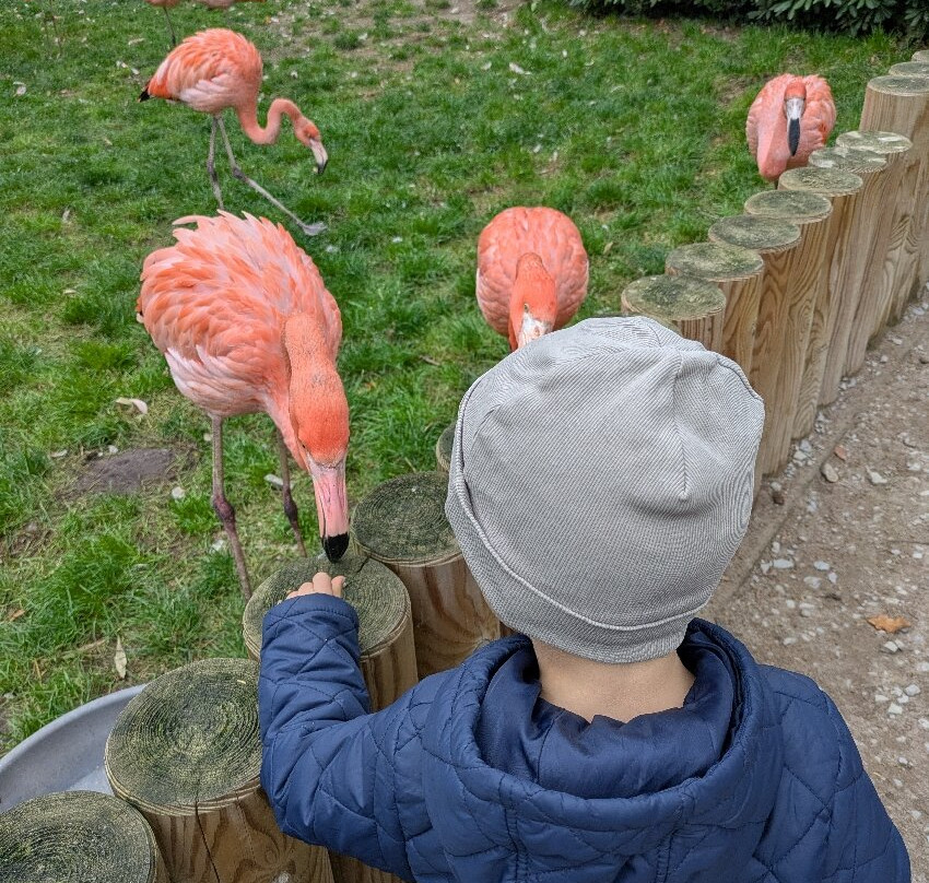 Weltvogelpark Walsrode-Walsrode必去景点