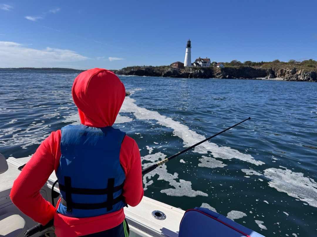 Casco Bay Adventures-南波特兰必去景点