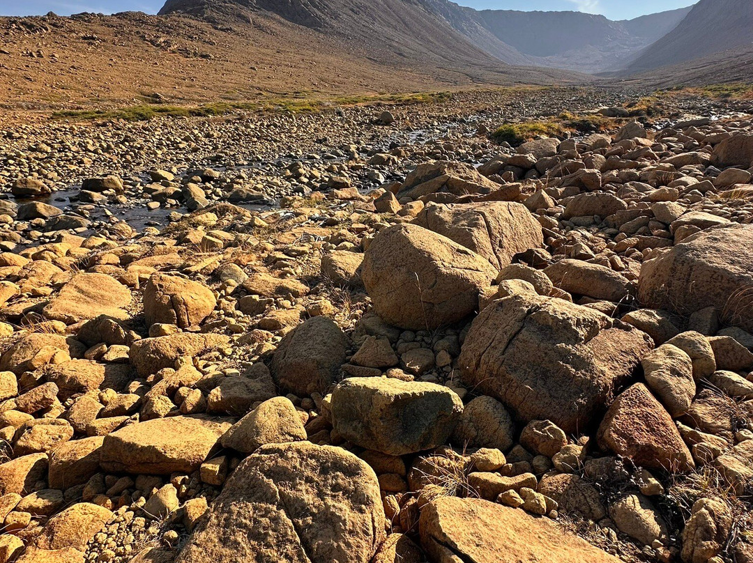 The Discovery Center-Woody Point必去景点