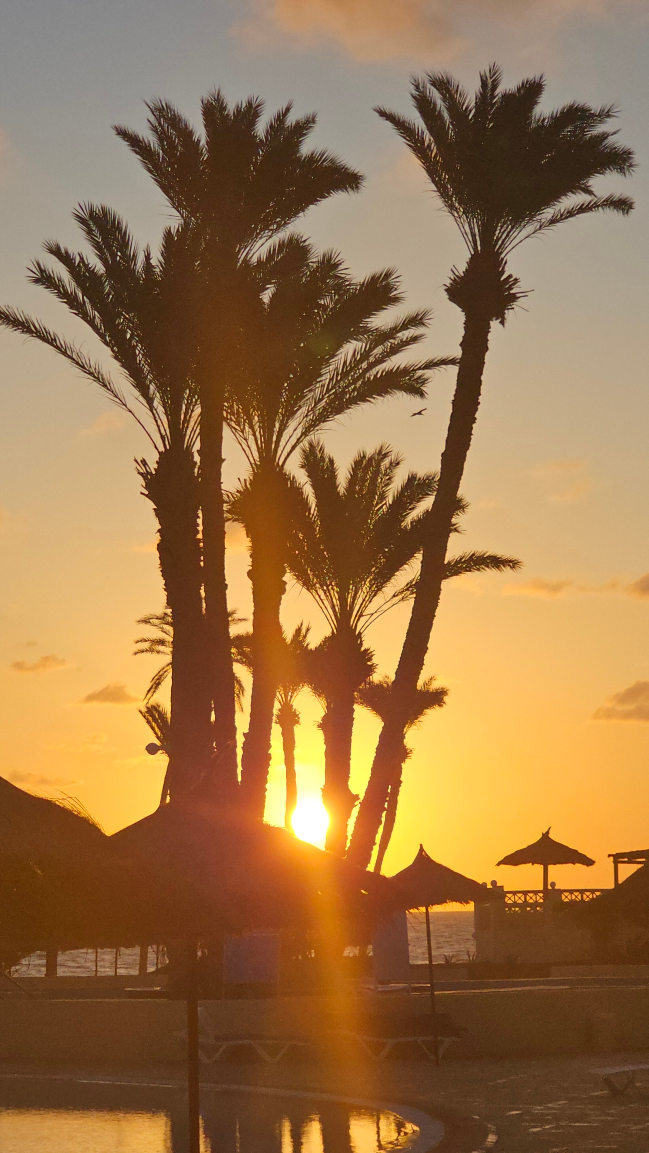 Zephir Hotel & Spa-官方