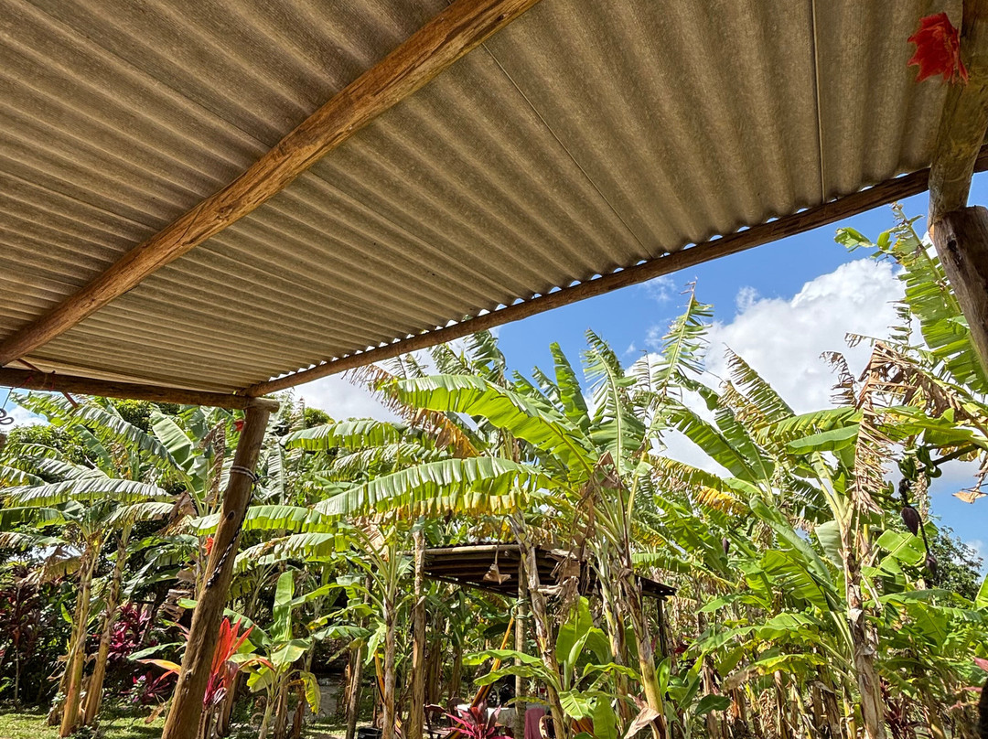 Recanto Manga Rosa-Rio do Fogo必去景点