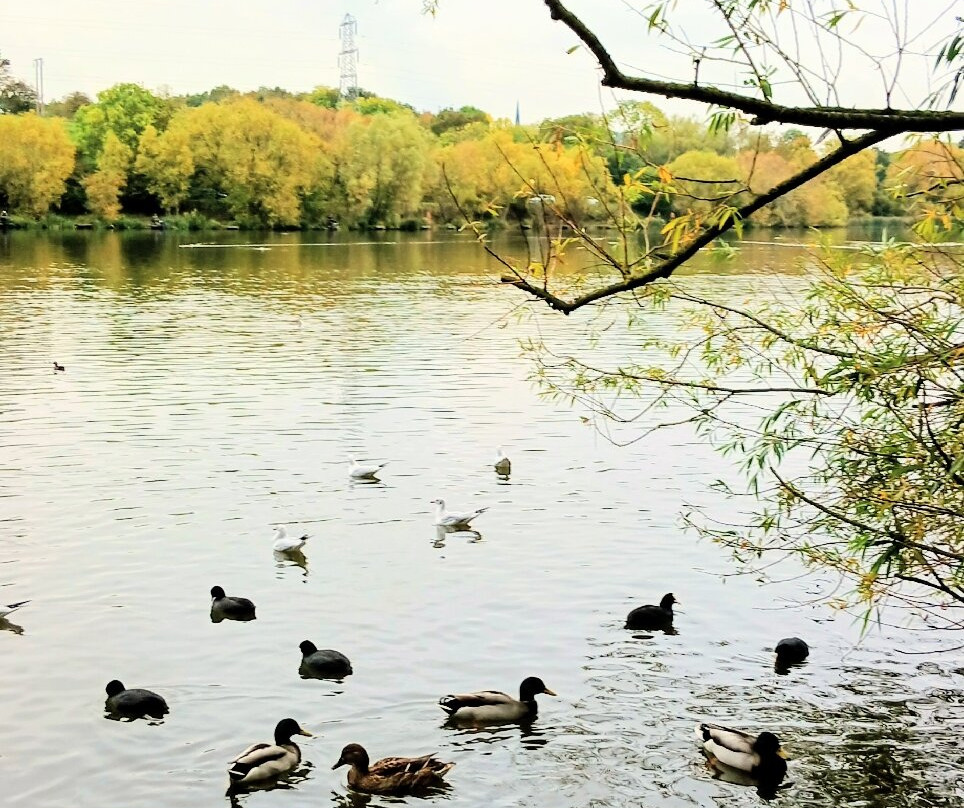 Elsecar Park-巴恩斯利必去景点