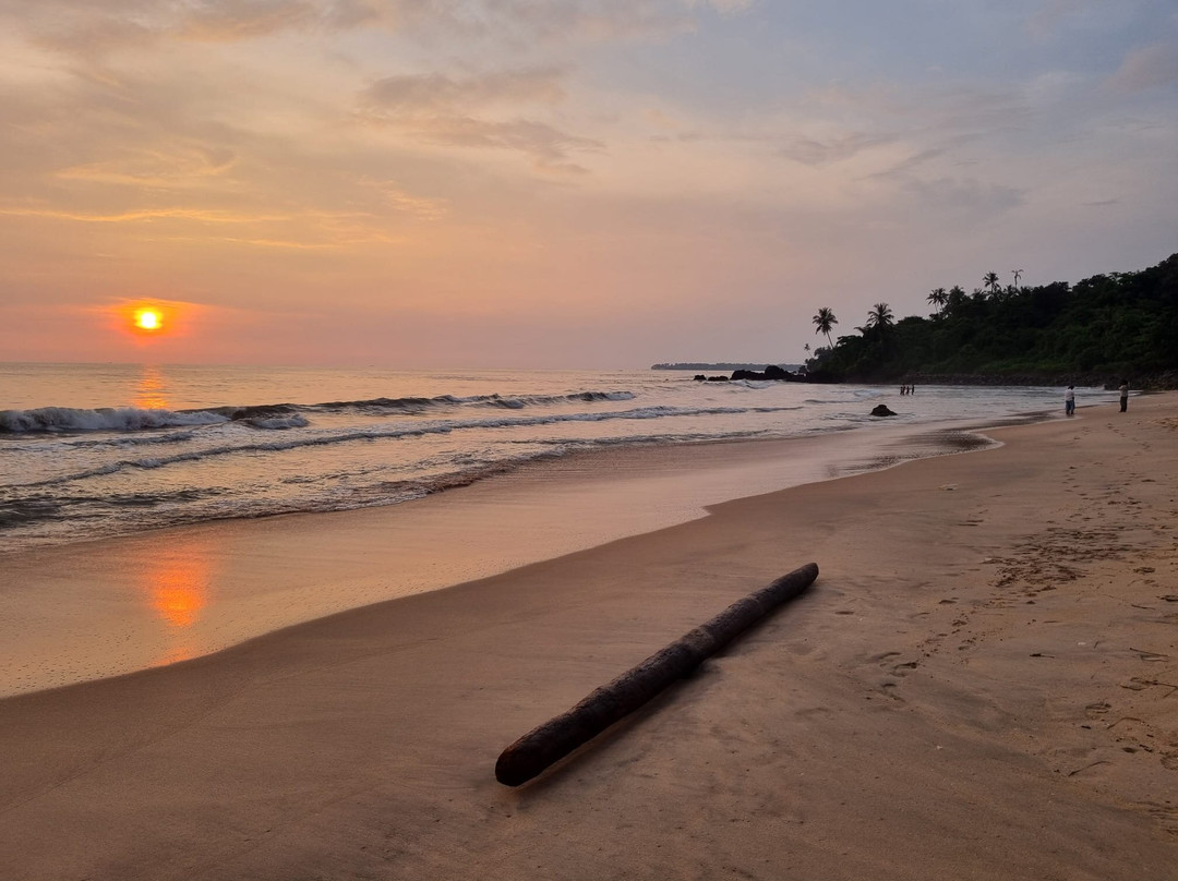 Kannur District酒店住宿-Kannur Beach House