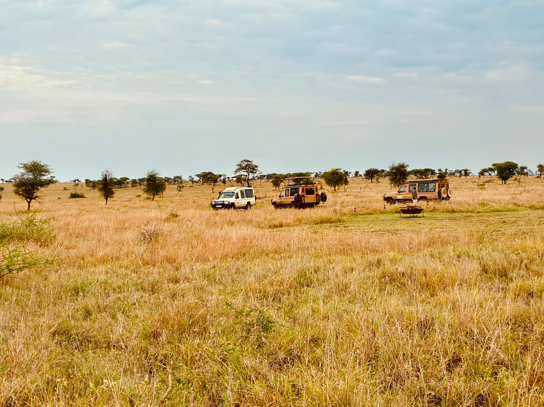 Makasa Tanzania Safaris-莫西必去景点