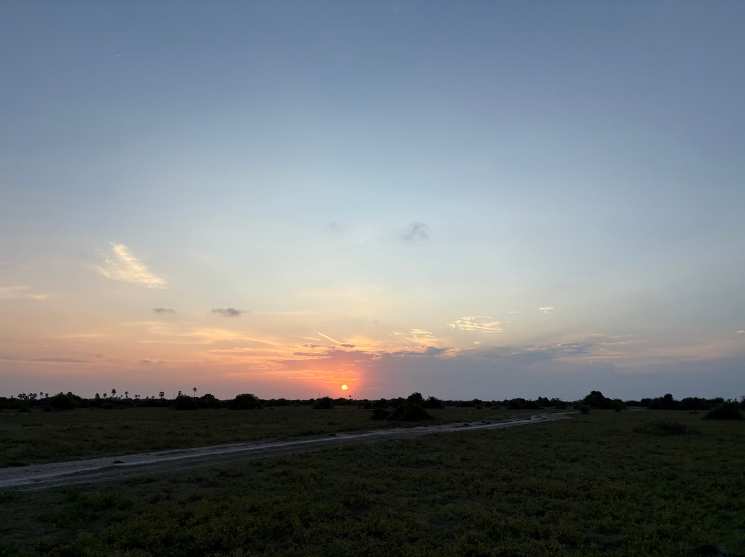 Neduntheevu-贾夫纳必去景点