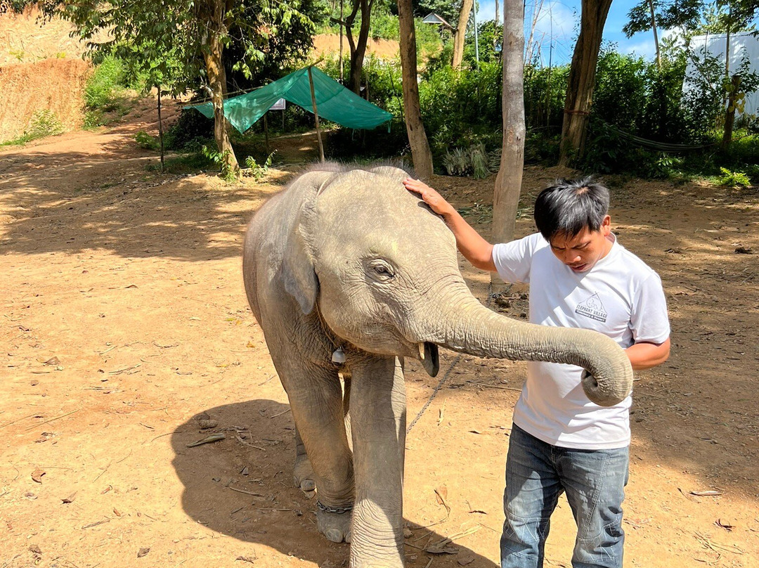 Elephant Village Sanctuary & Resort-琅勃拉邦必去景点