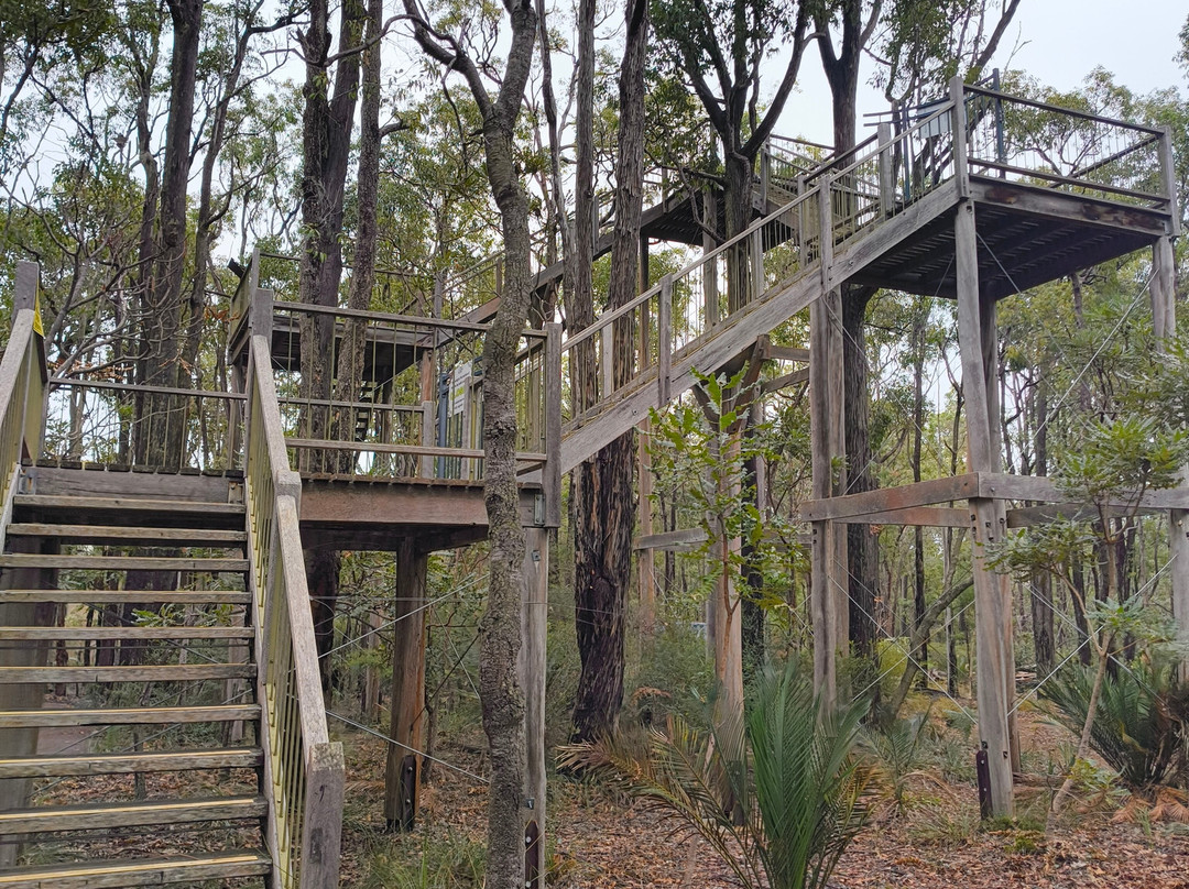 Forest Discovery Centre-Dwellingup必去景点
