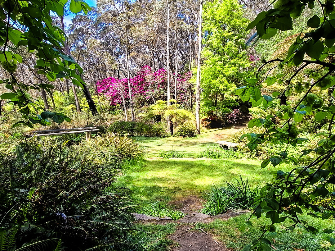 The Campbell Rhododendron Gardens-布莱克希思必去景点