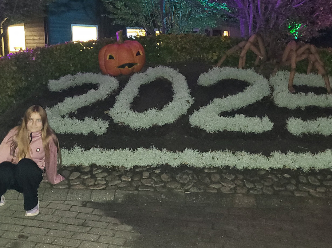 Djurs Sommerland-Nimtofte必去景点