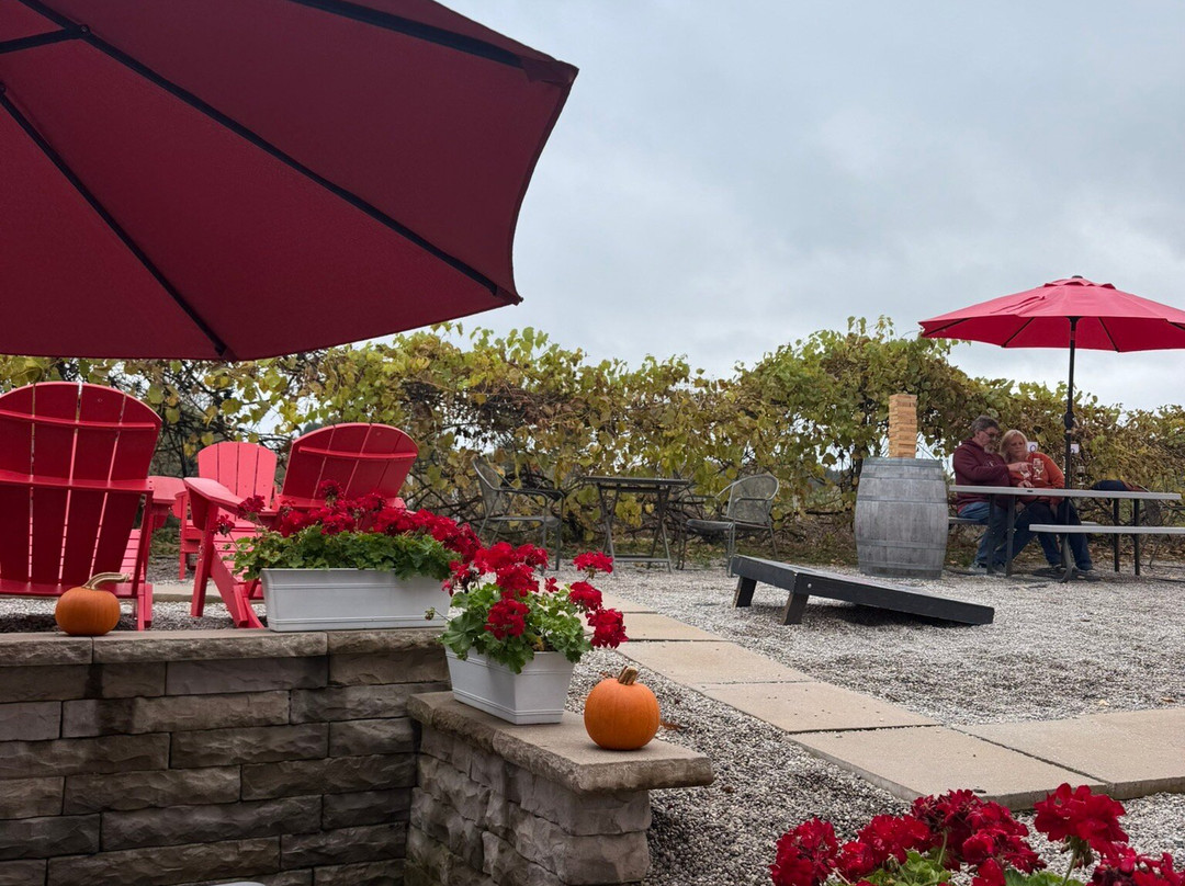 Tabone Vineyards-特拉弗斯城必去景点