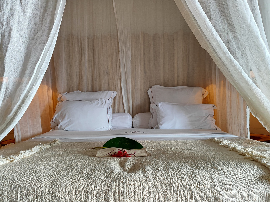 哈马独家洛奇酒店主图