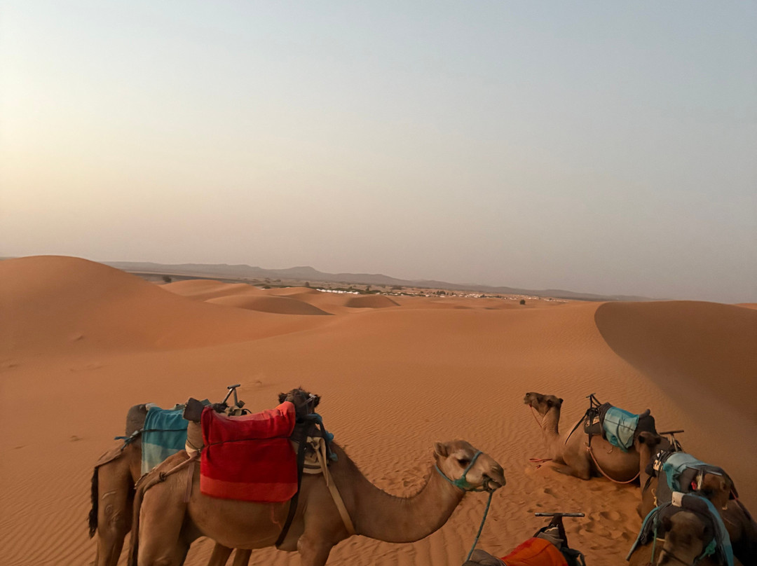 Spirit of Morocco-阿伊特·本·哈杜筑垒村必去景点