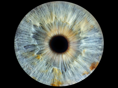 Vizualeyes Leeds-利兹必去景点