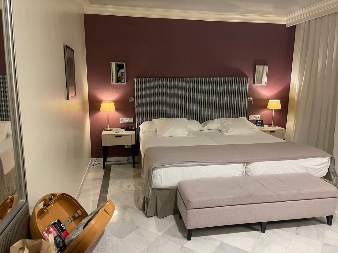 阿尔贝辛炜森酒店主图