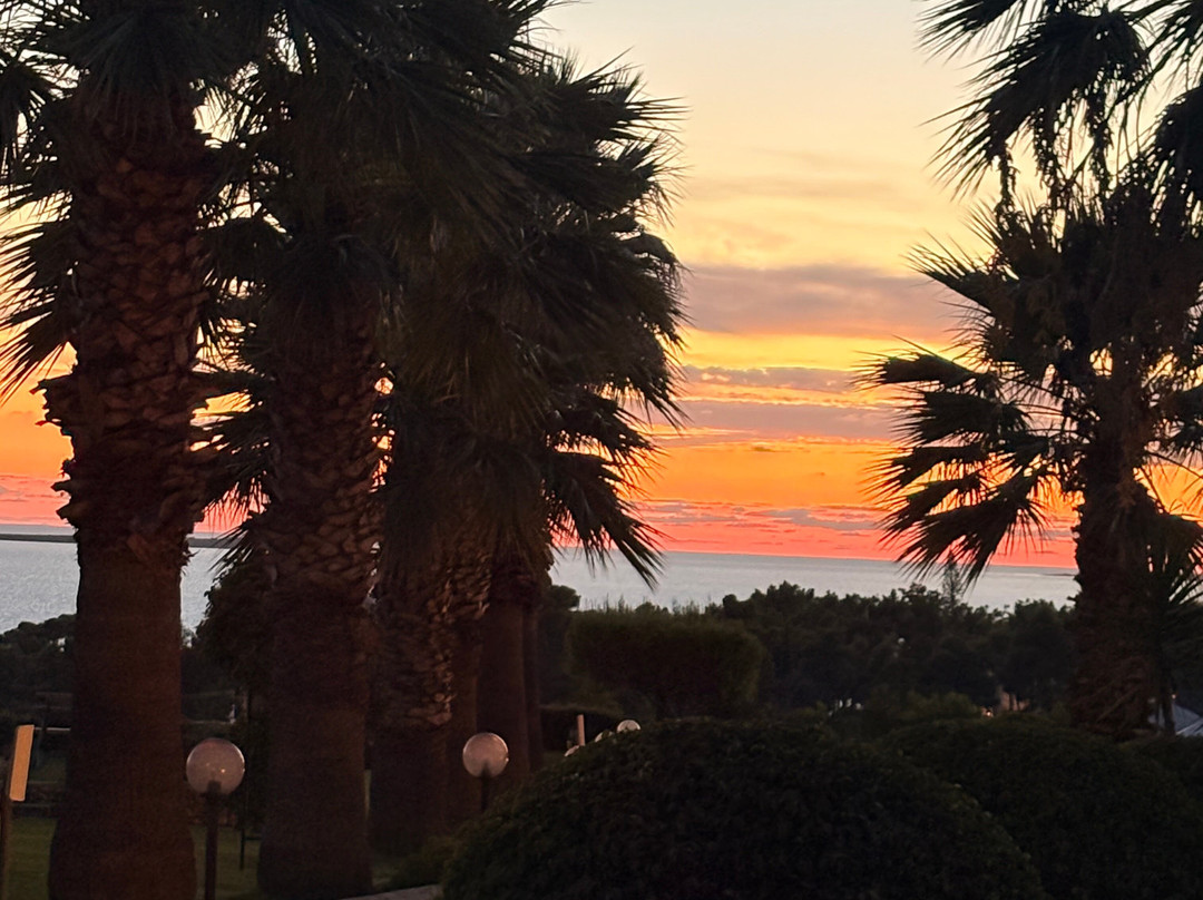 San Lorenzo Village主图