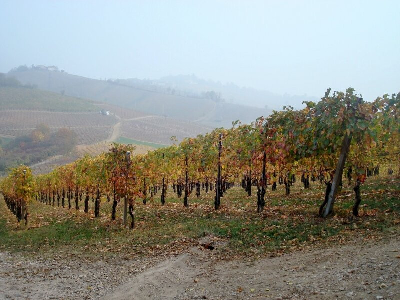 Azienda Agricola Zerioli-Montalbo必去景点