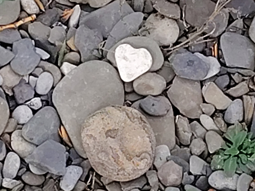 Lodi Point State Park-Lodi必去景点