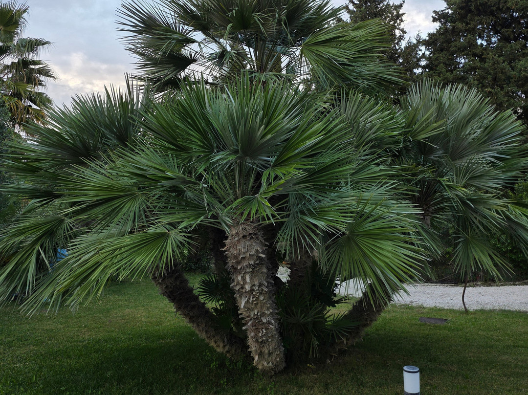 Paradise Hotel Corfu主图