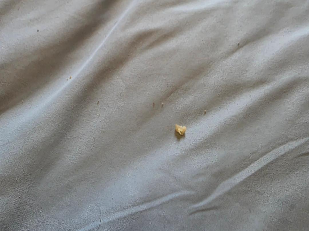 The Villa Hotel主图